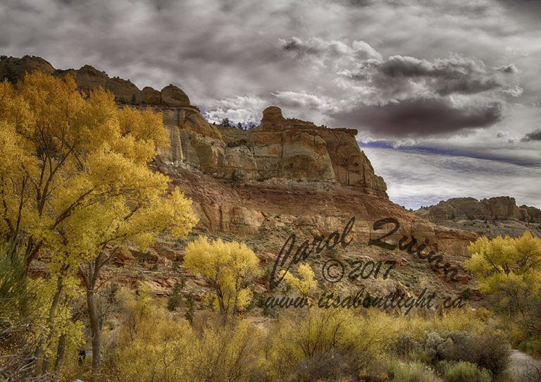 Rock formation along burr trail, by Carol Quinn. ID _1CQ6125