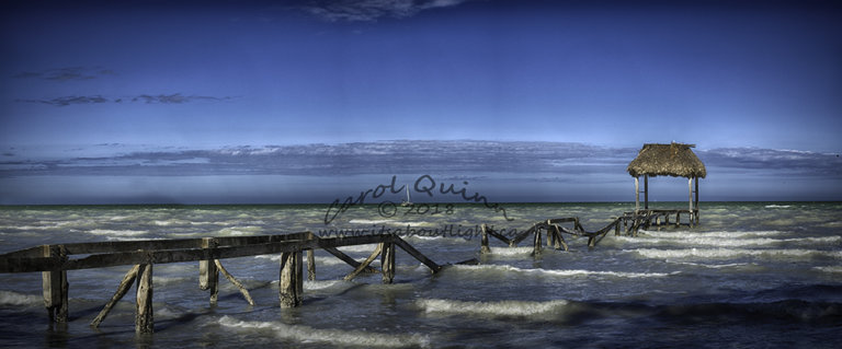 Seaside Sarteneja, by Carol Quinn. ID 2CQ2164-66 rev 1d