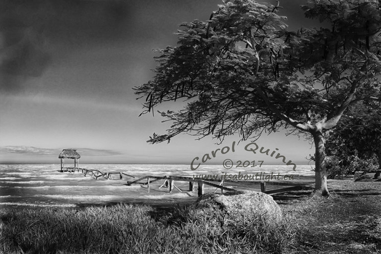 Sarteneja Old Wharf, by Carol Quinn. ID 2cq2255-57 rev 2e