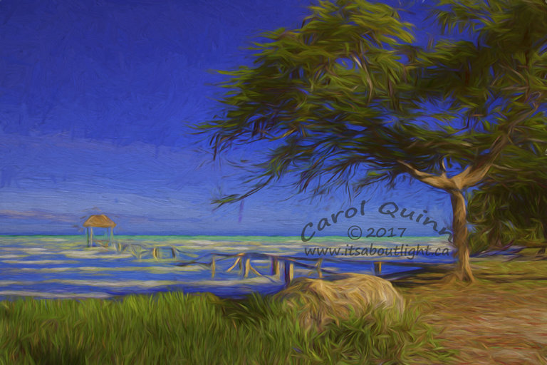 Sarteneja Old Wharf, by Carol Quinn. ID 2cq2255-57 rev 3e